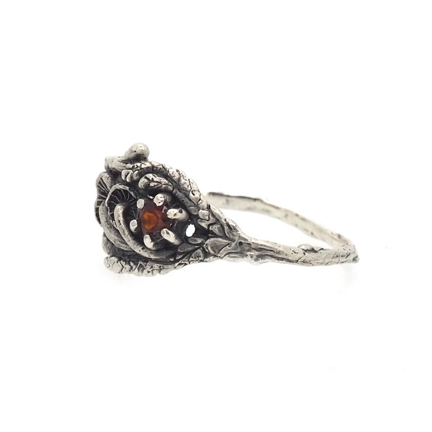 Mushroom cedar ring