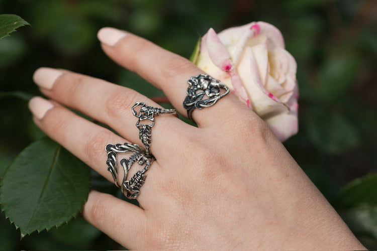 rings in silver