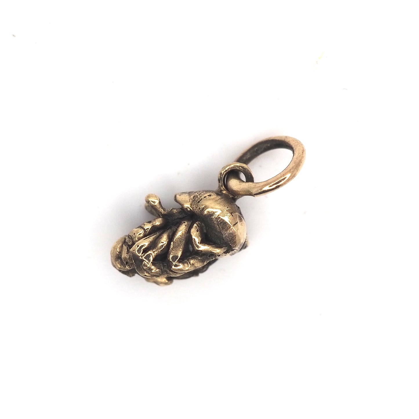 Hermit crab charm