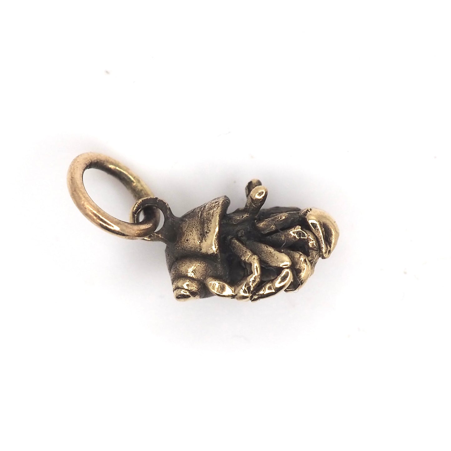 Hermit crab charm