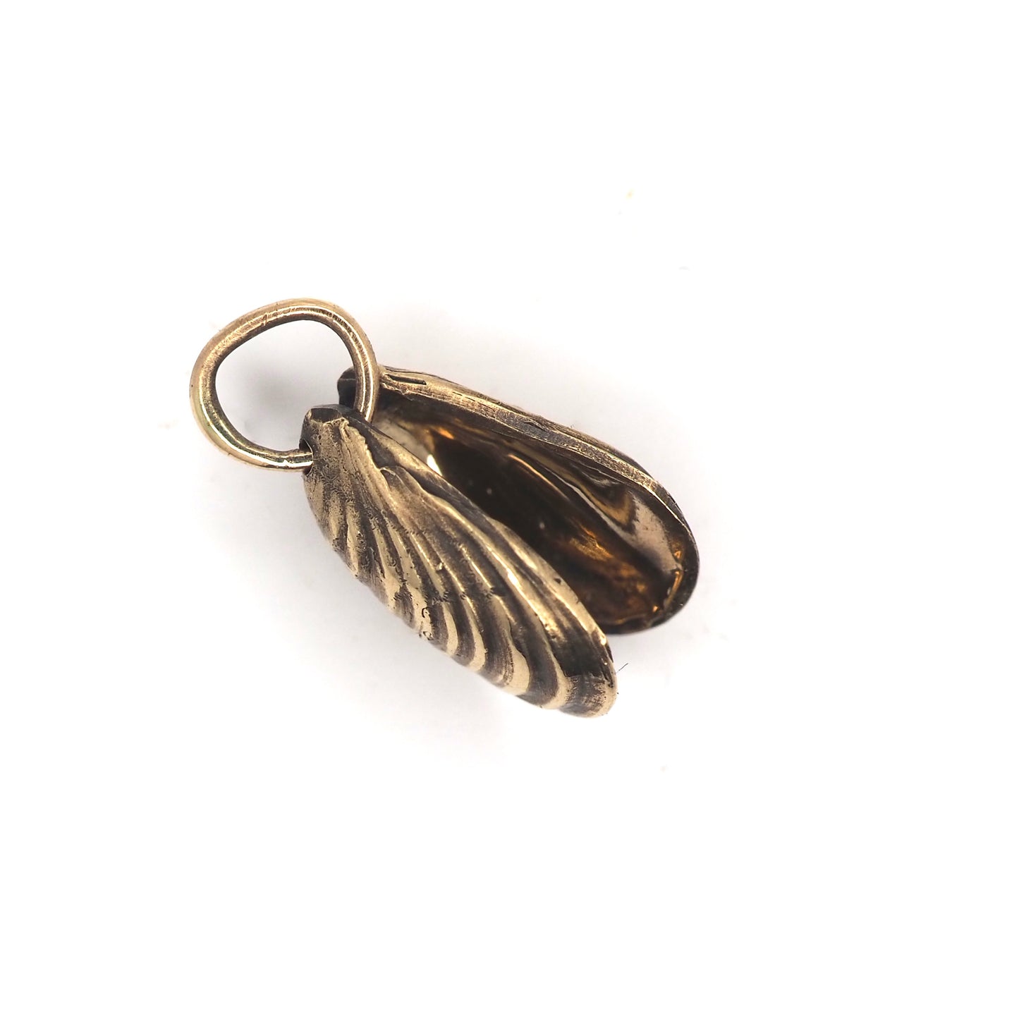 Mini mussel charm