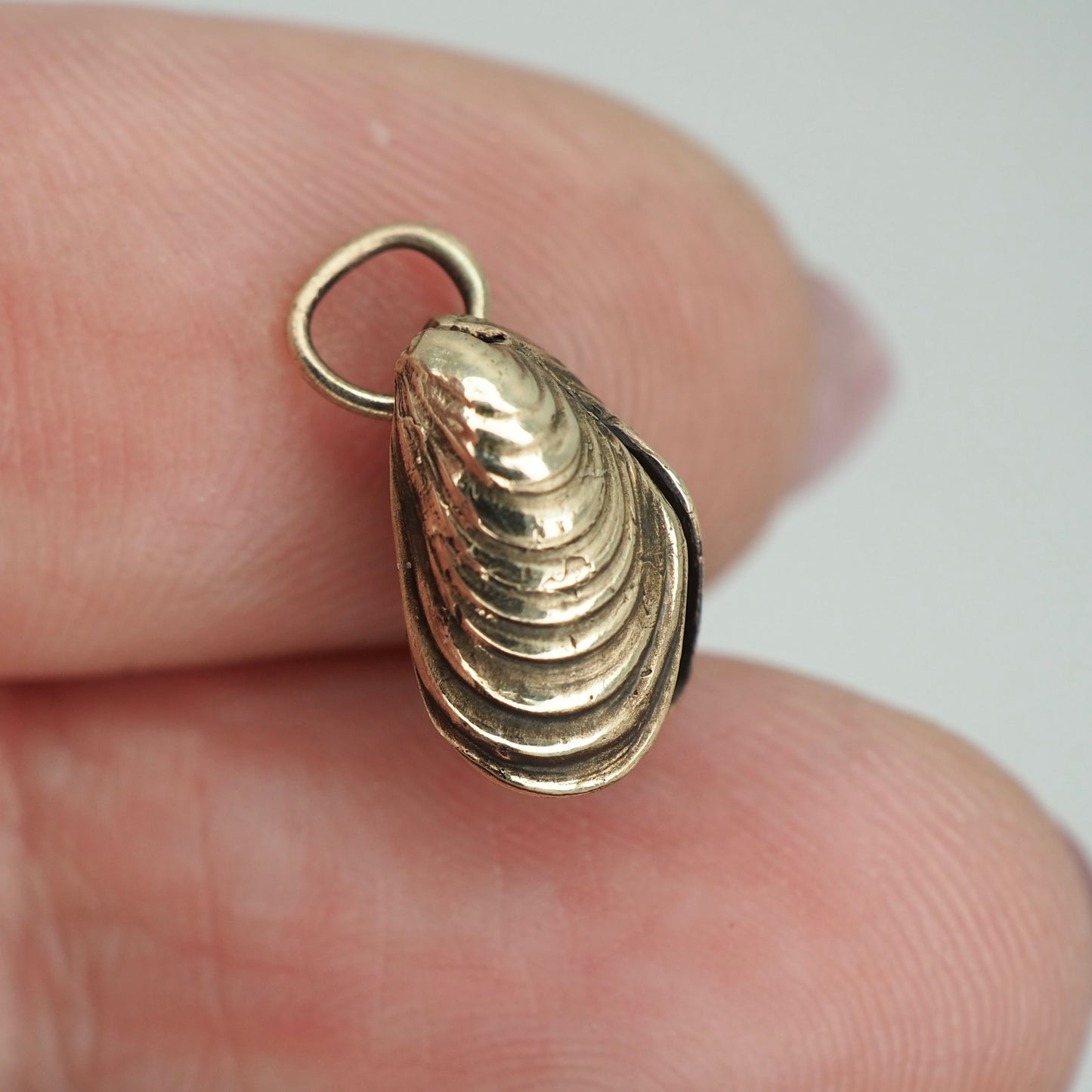 Mini mussel charm