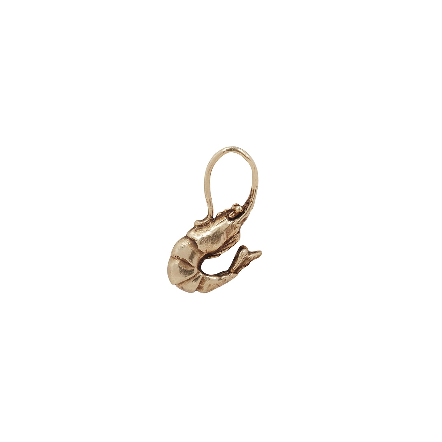 Tiniest shrimp charm