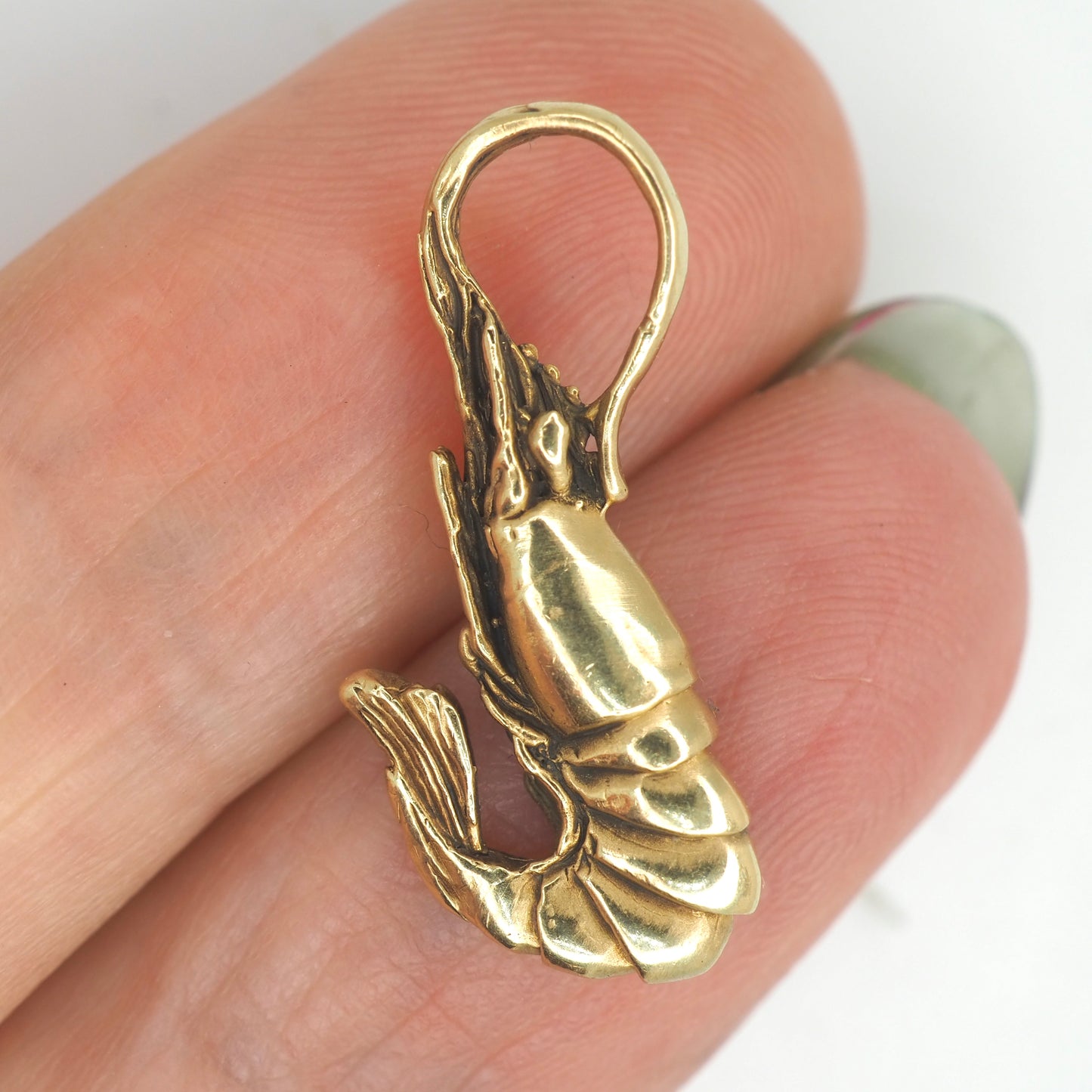 Shrimp pendant
