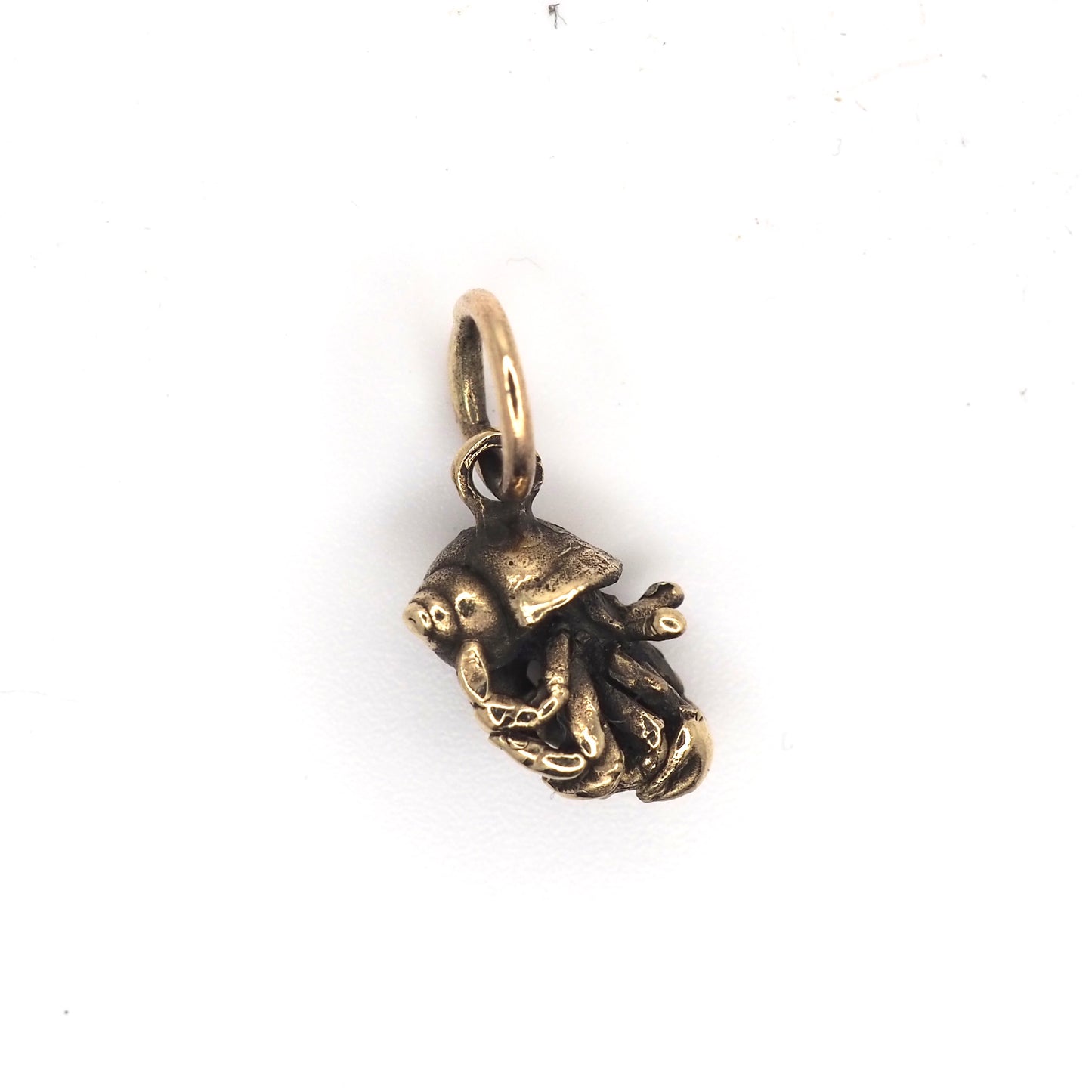 Hermit crab charm
