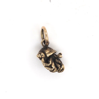 Hermit crab charm