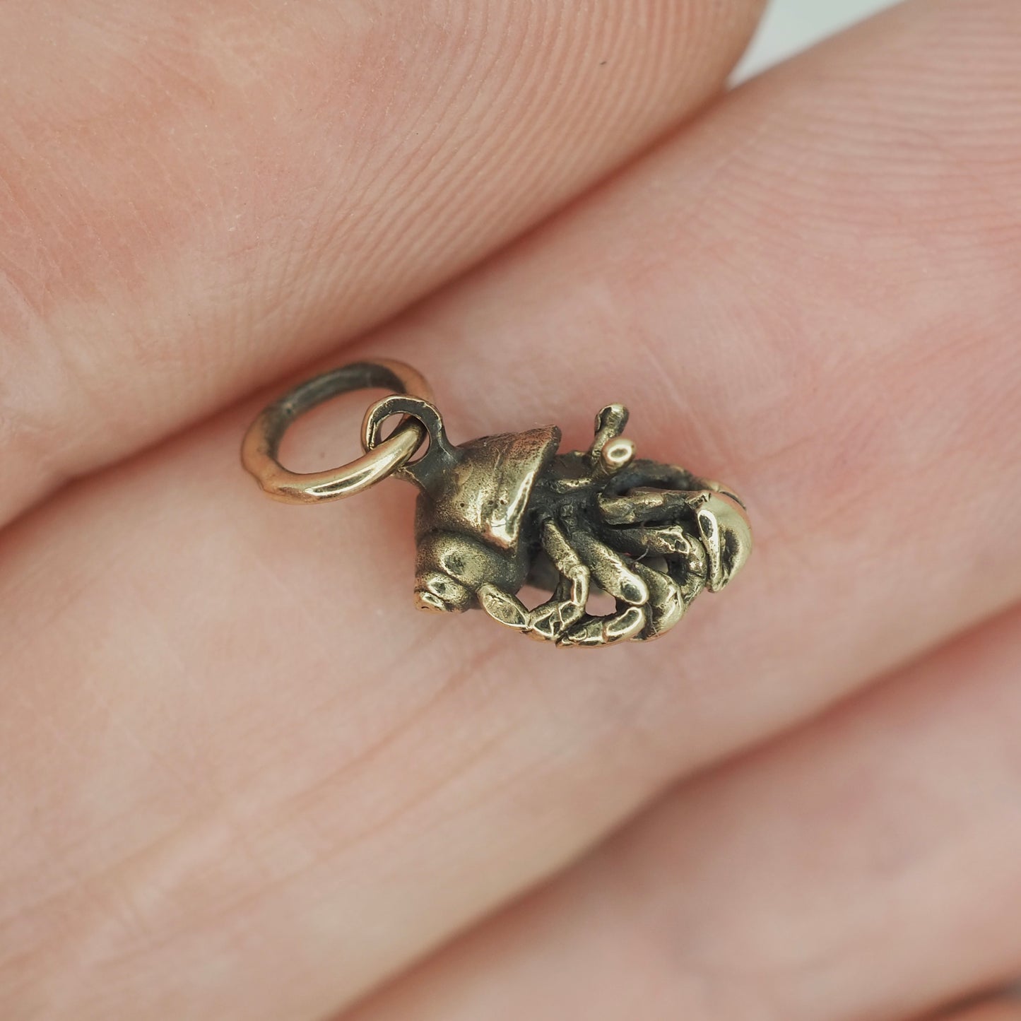Hermit crab charm
