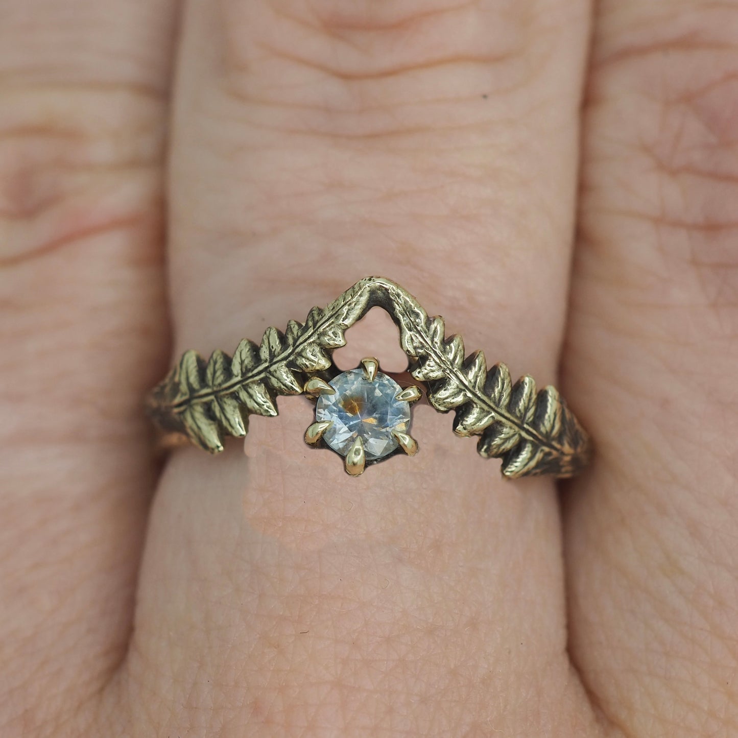 Lady fern and Montana sapphire ring for G