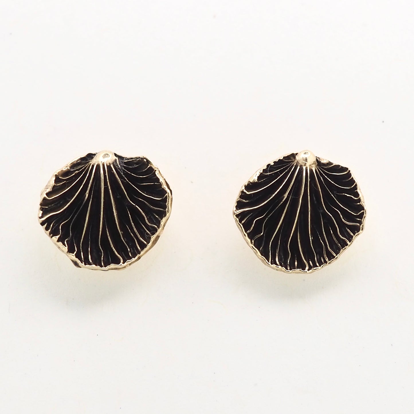 Oyster mushroom studs