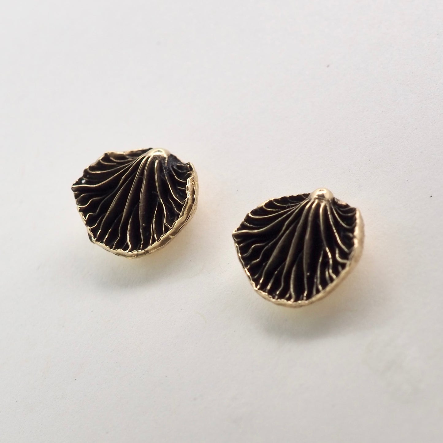 Oyster mushroom studs