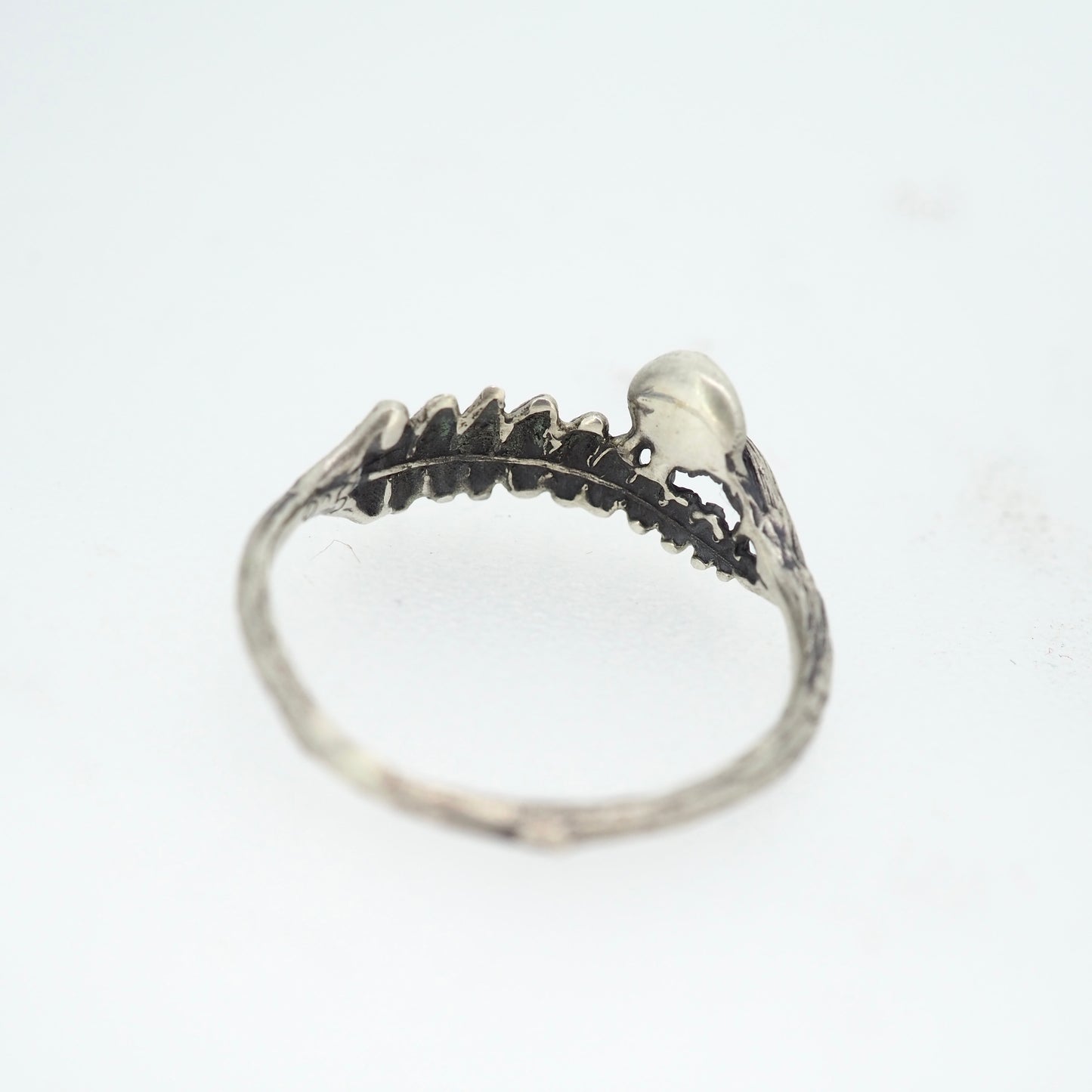 Fern and mushroom ring