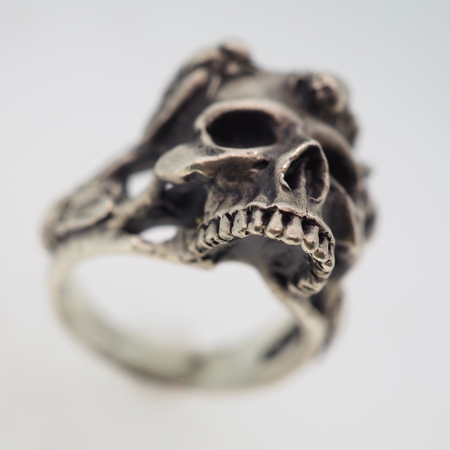 Skull with flies ring