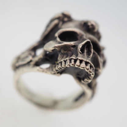 Skull with flies ring