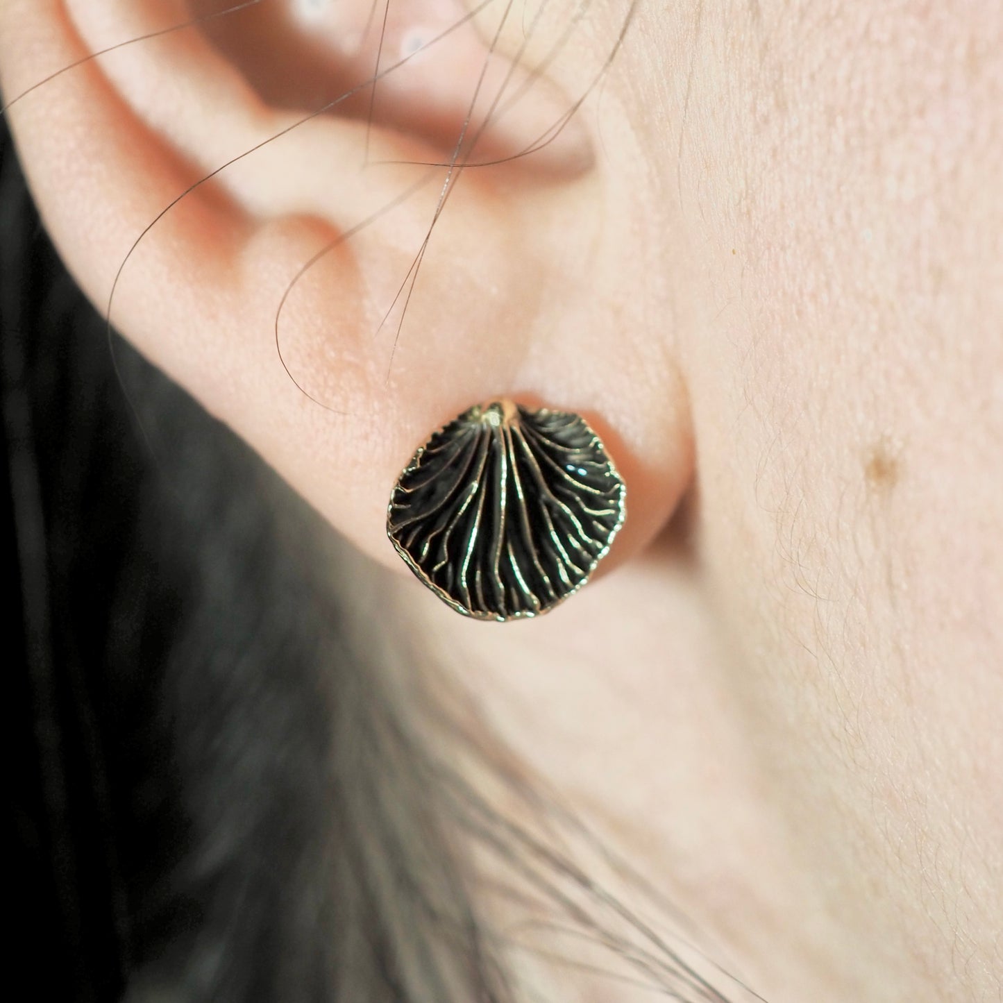 Oyster mushroom studs