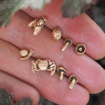 snail earrings in gold
