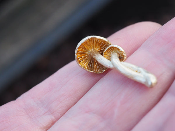 Red Luck Mushroom Necklace - Gold – Cenora Jewellery