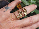 Mushroom and fern ring